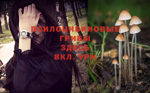 ПСИЛОЦИБИНОВЫЕ ГРИБЫ Нефтекумск