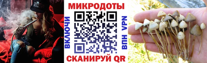 hydra ссылка  наркотики  Мензелинск  Псилоцибиновые грибы мицелий 